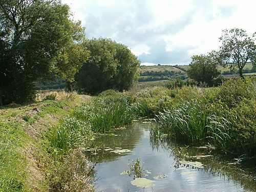 River Cary (Somerset)